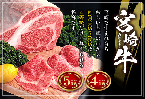 ［宮崎牛］カルビ焼肉 計1kg以上（250g×4パック）※ご入金月の翌月中に出荷【C389-2503】