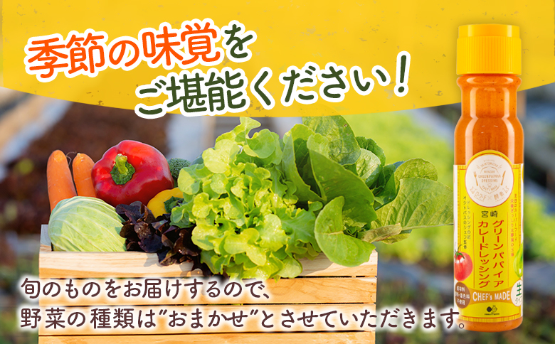 産地直送！旬の野菜（5～8種類）＆ドレッシング セット お試し おまかせ 詰合せ 宮崎県新富町産【B643】