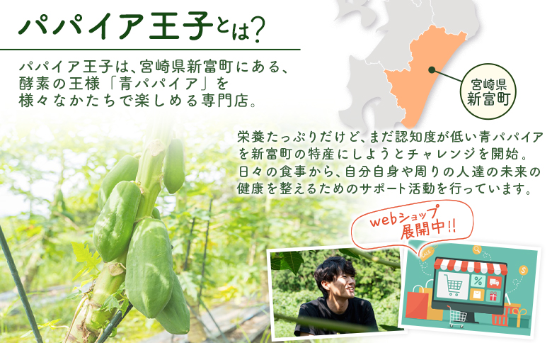 業務用 青パパイアドレッシング 900ml 国産 調味料【A317】