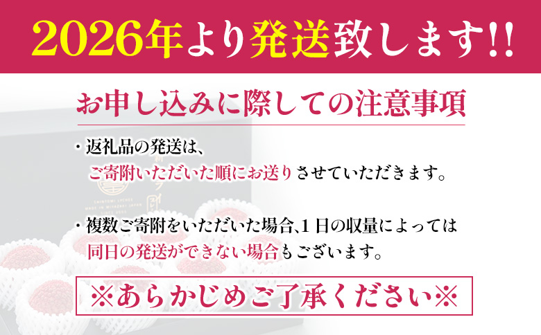 ［2026年発送］先行予約 希少！国産＜新富ライチ＞40g前後×10玉 国産 ブランド フルーツ 果物 贈答品【B120-26】