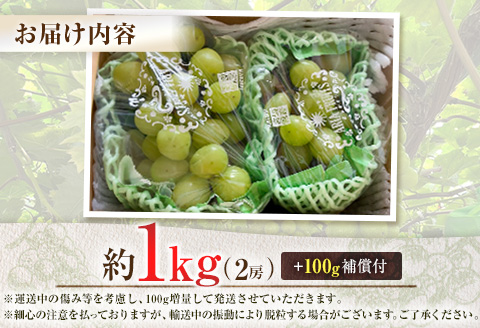 ＜先行予約＞シャインマスカット 2房 約1kg+100g補償付 ※2026年8月下旬～【B606-26】
