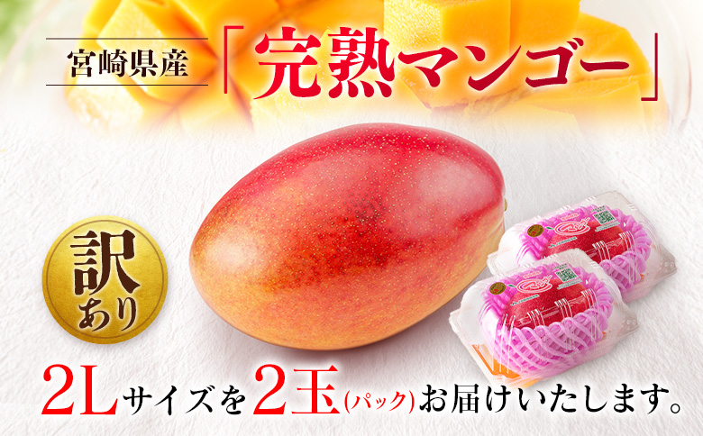 先行予約 ＜訳あり＞ 完熟マンゴー 宮崎県産 2Lサイズ 2玉 フルーツ 果物【B615-26】