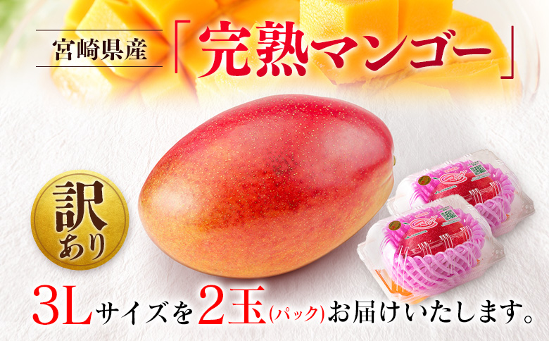 先行予約 ＜訳あり＞ 完熟マンゴー 宮崎県産 3Lサイズ 2玉 フルーツ 果物【B616-26】