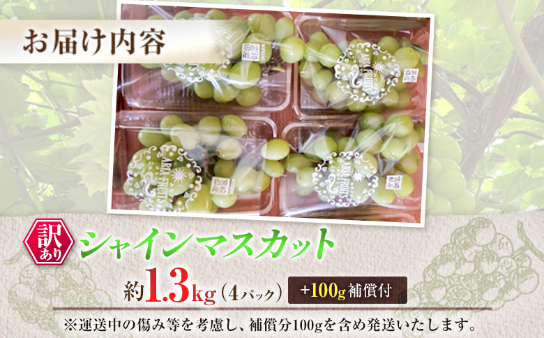 訳あり［不揃い・小粒］シャインマスカット 4パック 約1.3kg+100g補償付 ご家庭用 宮崎県新富町産 製菓用 先行予約 ※2026年8月下旬～【B638-26】