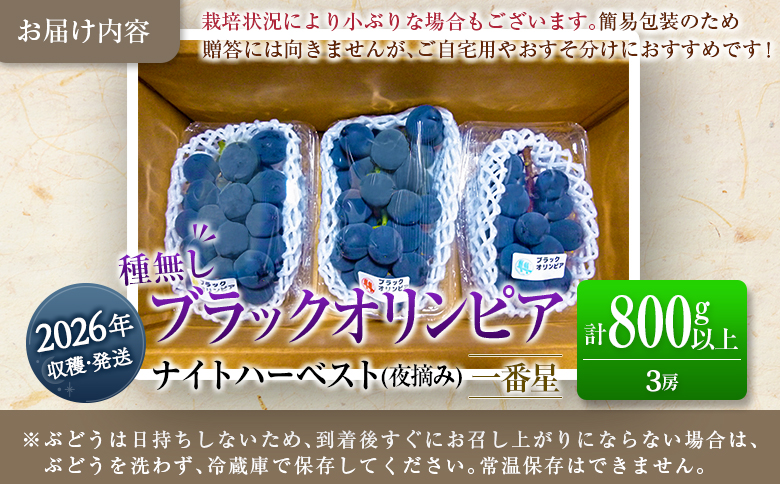 ［ご自宅・ご家庭用］ぶどう 2026年収穫・発送 ナイトハーベスト（夜摘み）種なし『ブラックオリンピア（一番星）』計800g以上 3房 人気 ブドウ フルーツ 果物【B646-26】