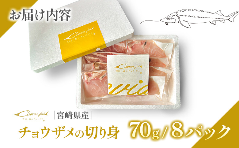 チョウザメの切り身70g×8パックセット 魚介 真空パック カット済み【B687】