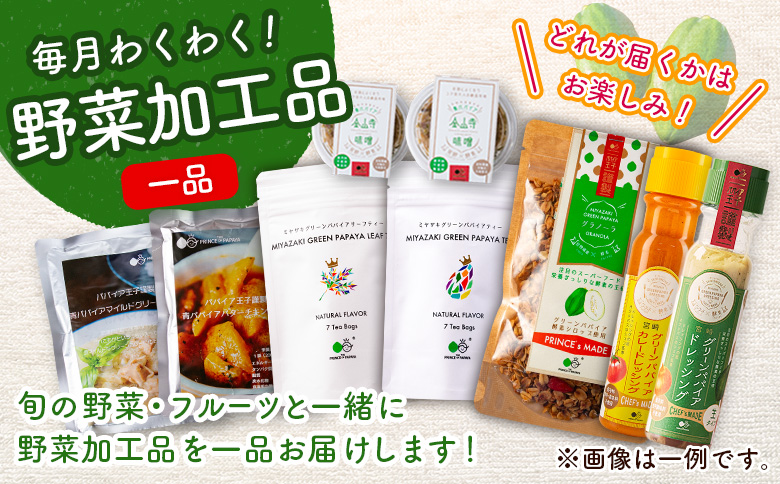 産地直送！旬の野菜・フルーツ＆野菜加工品 セット お試し 1回お届け おまかせ 詰合せ 宮崎県新富町産【C431】