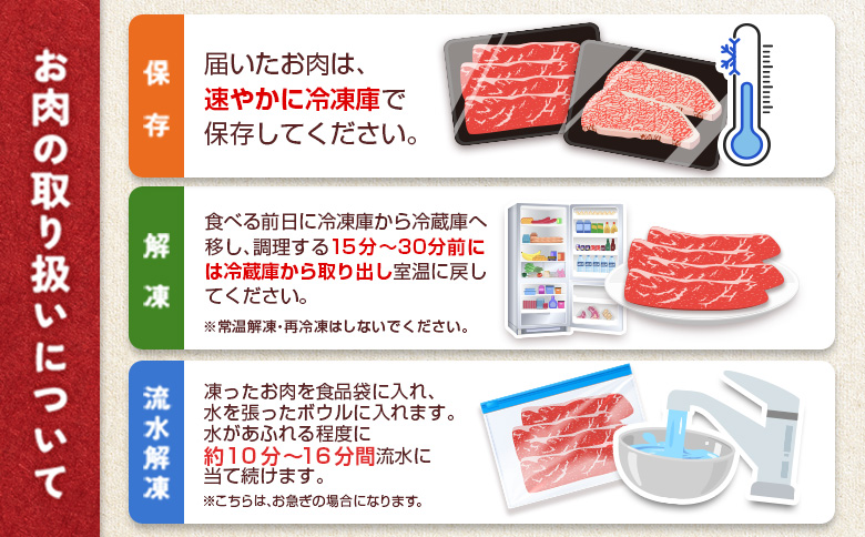 宮崎牛 ロースステーキ 計500g（250g×2枚） 肉質等級4等級 国産 人気 おすすめ【C346-2510-90】