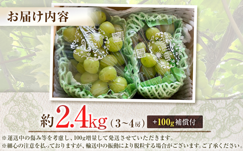 ＜先行予約＞シャインマスカット 3～4房 約2.4kg+100g補償付 宮崎県産 ※2026年8月下旬～【C433-26】