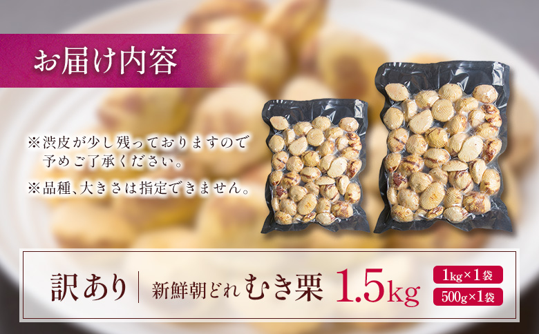 ＜2026年出荷!!＞＜訳あり＞期間限定 国産 新鮮朝どれ（むき栗）1.5kg 産地直送 お取り寄せ 宝珠栗 宮崎県新富町産 先行予約【C448-26】