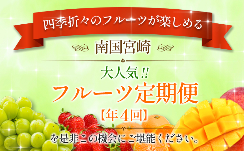 南国宮崎 大人気フルーツ定期便（年4回）【E150】