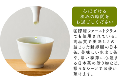 宮崎日本茶専門店 日本茶詰合せ10袋セット お茶 緑茶 ギフト お取り寄せ【E233-2509】