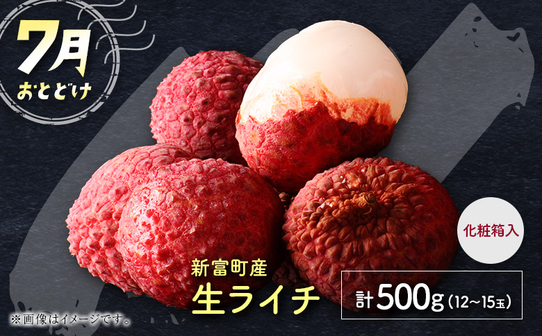 サマーフルーツ定期便 全3回＜メロン・マンゴー・ライチ＞ ※2026年5月開始 旬 果物【E244】