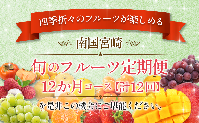 旬のフルーツ定期便 12か月コース【F113-25】