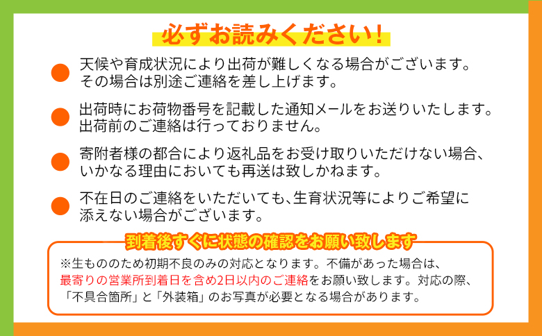 宮崎特産「完熟マンゴー4L×2玉」お届け定期便（全3回）計6玉 特産 国産 果物 フルーツ 旬 産地直送 大玉【F142-26】