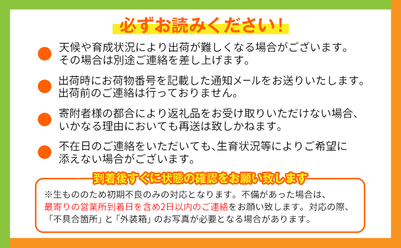 宮崎特産「完熟マンゴー2L×2玉」お届け定期便（全4回）計8玉 特産 国産 果物 フルーツ 旬 産地直送【F143-26】