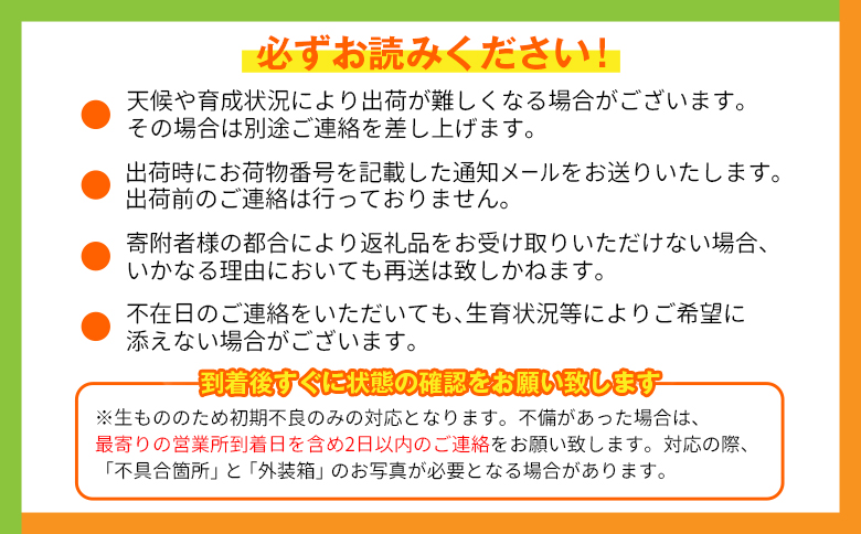 宮崎特産「太陽のタマゴ2L×2玉」お届け定期便（全3回）計6玉 特産 国産 果物 フルーツ 旬 産地直送【F145-26】