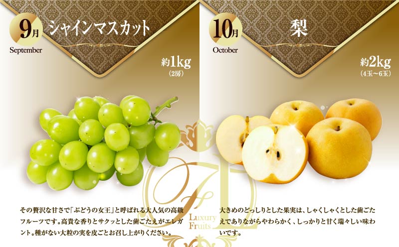 旬のくだもの定期便 「厳選コース」 全12回 マンゴー いちご マスカット 国産 宮崎【F153】