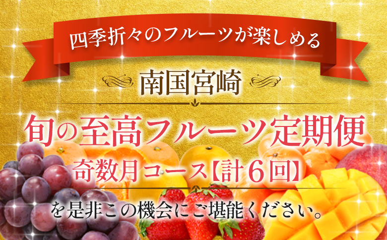 南国宮崎 旬の《至高》フルーツ定期便 奇数月コース（計6回）【F95-24】