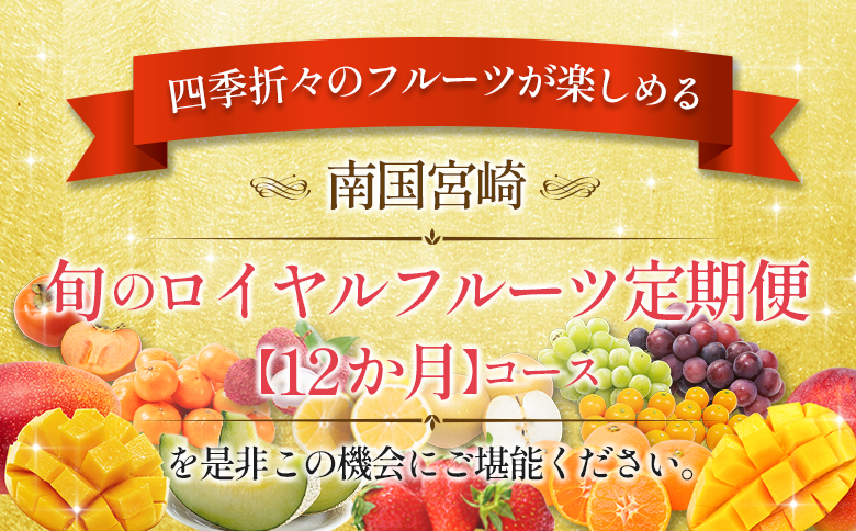 旬のロイヤルフルーツ定期便 12ヵ月コース【G28-25】