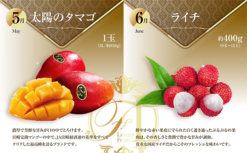 青果店チョイス！くだもの定期便Vol.6（全12回）国産 フルーツ 果物 1年間 毎月お届け 産地直送【G49-26】