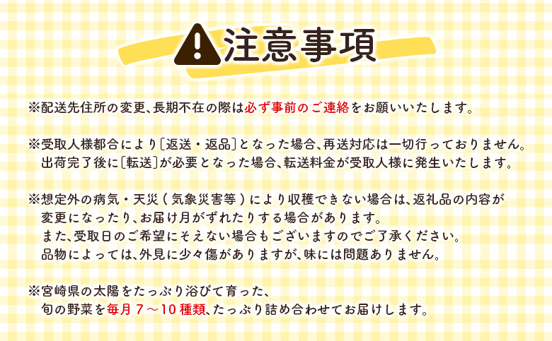 ＜数量限定＞新富町 特産 野菜 詰め合わせ 定期便 12か月コース 旬 やさい 国産 ≪2026年1月配送開始≫【G51-26】