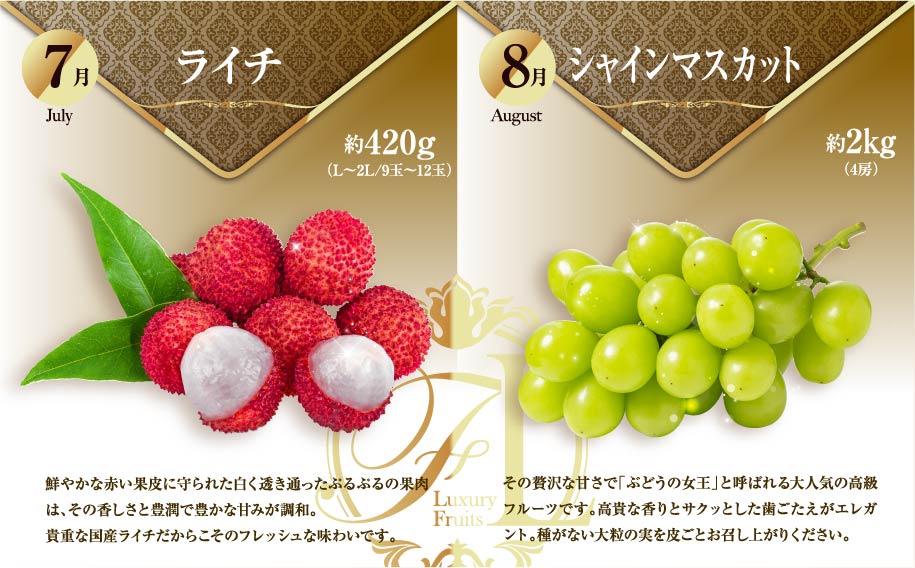 旬のくだもの定期便 「特選コース」 全12回 マンゴー いちご マスカット 国産 宮崎【G52】
