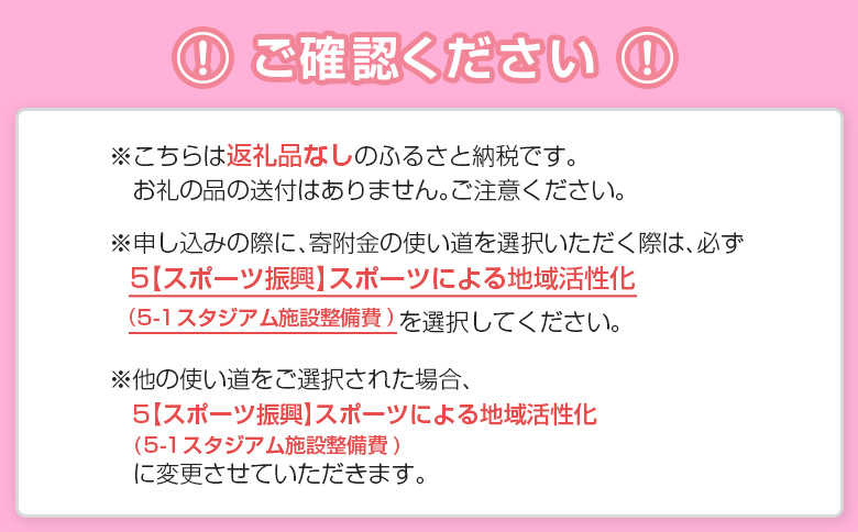 ＜寄附のみ＞ 返礼品なし いちご宮崎新富サッカー場 改修整備 1口 30,000円 J2昇格 テゲバジャーロ宮崎 サッカー Jリーグ J2 スポーツ 社会貢献 地域活動 応援寄附 ファン サポーター【S27】