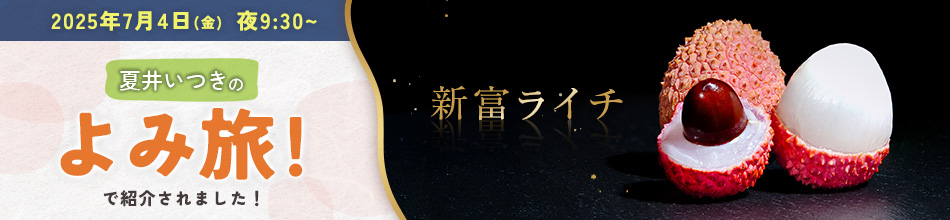［2026年発送］先行予約 希少！国産＜新富ライチpremium50＞50g以上×8玉 国産 ブランド フルーツ 果物 贈答品【C52-26】