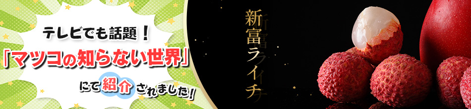 ［2026年発送］先行予約 希少！国産＜新富ライチpremium50＞50g以上×8玉 国産 ブランド フルーツ 果物 贈答品【C52-26】