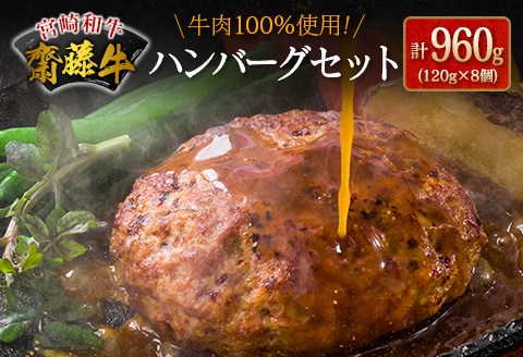牛肉100％使用！宮崎和牛『齋藤牛』ハンバーグセット 計960g(120g×8個) 【B549-60】