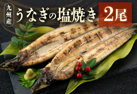 うなぎの塩焼き 2尾 合計320g以上 九州産【C403】
