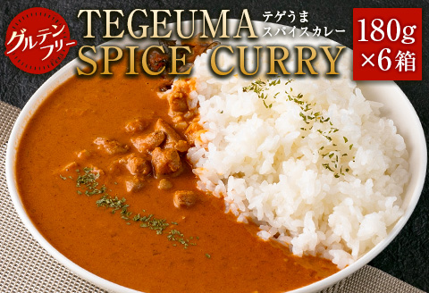 グルテンフリー 無水チキンカレー TEGEUMA SPICE CURRY（テゲうまスパイスカレー）180g×6箱【B595】