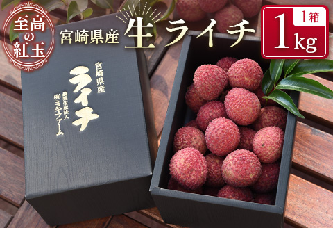 宮崎県産 生ライチ「至高の紅玉」計1kg ≪2026年6月下旬～発送≫ 人気 国産 希少 果物 旬 ギフト プレゼント【C365-26】