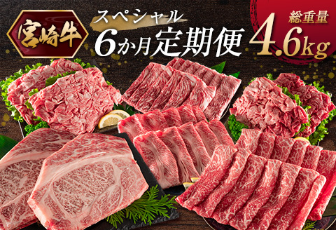 《お楽しみ 6種》［宮崎牛］スペシャル 6か月定期便 総重量4.6kg【F107】