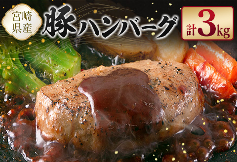 宮崎県産豚ハンバーグ 計3kg【B612】