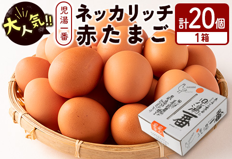 ＜児湯養鶏自慢の卵＞ネッカリッチ赤たまご「児湯一番」20個 1箱【A14】