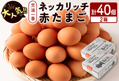 ＜児湯養鶏自慢の卵＞ネッカリッチ赤たまご「児湯一番」計40個（20個入×2箱）【B19】