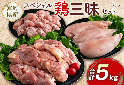 宮崎県産鶏肉 スペシャル鶏三昧セット 合計5kg【B607-2505】