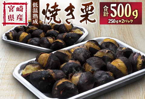 ＜2026年出荷!!＞宮崎県産 低温熟成栗［焼き栗］計500g（250g×2パック）おやつ 秋の味覚 お取り寄せ 先行予約【B617-26】