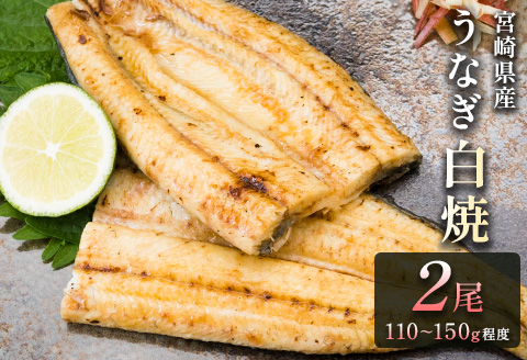 「玄人の一品」宮崎県産うなぎ白焼き 2尾(110～150g) ＆蒲焼きタレ付（50ml×1本）【A2】