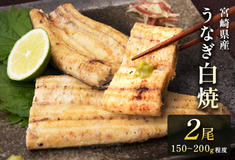 ◇［玄人の一品］うなぎ白焼き 2尾 合計300g以上 宮崎県産鰻 化粧箱入り 蒲焼タレ付【C427】