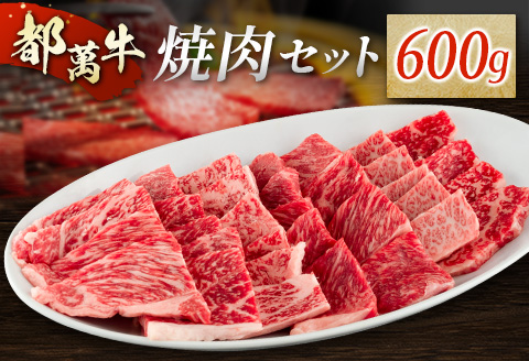 赤身主体の黒毛和牛＜都萬牛＞焼肉セット 600g【C383】
