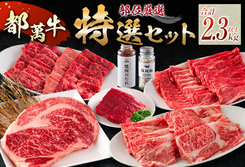 赤身主体の黒毛和牛＜都萬牛＞部位厳選の特選セット