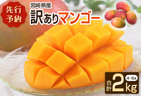 ［訳あり］宮崎県産マンゴー《家庭用》2kg以上（4～6玉）新富町産 完熟 フルーツ 果物【C217-26】