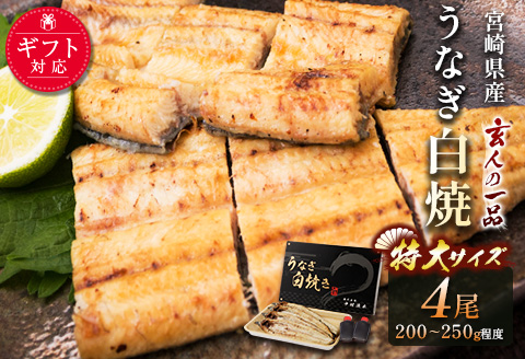 ◇特大！うなぎ白焼き4尾 合計800g以上 宮崎県産鰻 玄人の一品 熨斗 ギフト対応・配送日指定可【E206】
