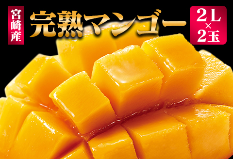 ＜先行予約＞ 完熟マンゴー 2Lサイズ 2玉 南国宮崎からお届け!! フルーツ 果物 人気 贈答品【B302-26】