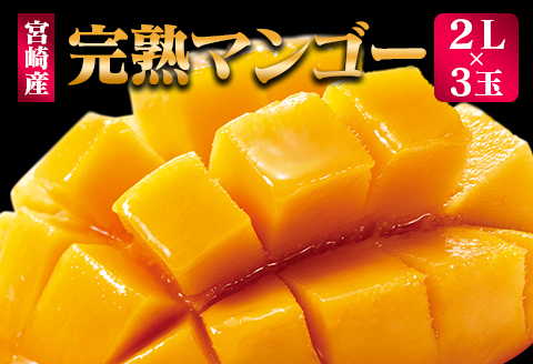 ＜先行予約＞ 完熟マンゴー 2Lサイズ 3玉 南国宮崎からお届け!! フルーツ 果物 人気 贈答品【C246-26】