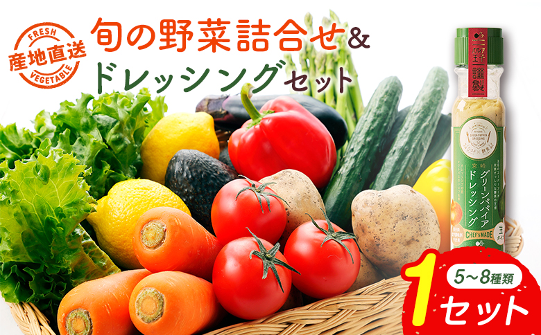 産地直送！旬の野菜（5～8種類）＆ドレッシング セット お試し おまかせ 詰合せ 宮崎県新富町産【B643】