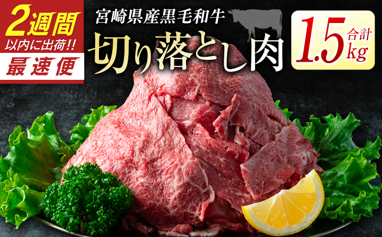 宮崎県産黒毛和牛＜新富育ちGyuGyu・切り落とし肉（500g×3P）＞合計1.5kg 肉 牛肉 宮崎県産【B484-24】